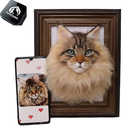 Wool felt pet commemorative ornament photo frame